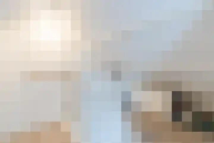 Violenstraat 3 Beilen thumbnail 28