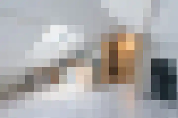 Violenstraat 3 Beilen thumbnail 29