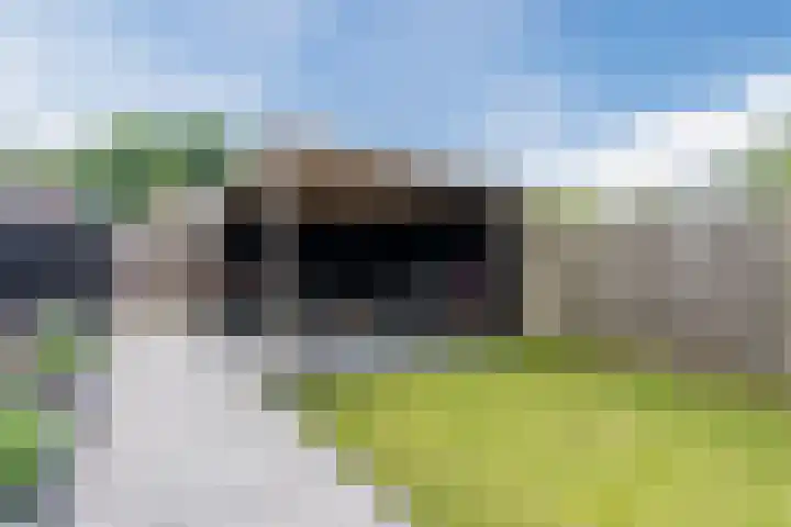 Violenstraat 3 Beilen thumbnail 34