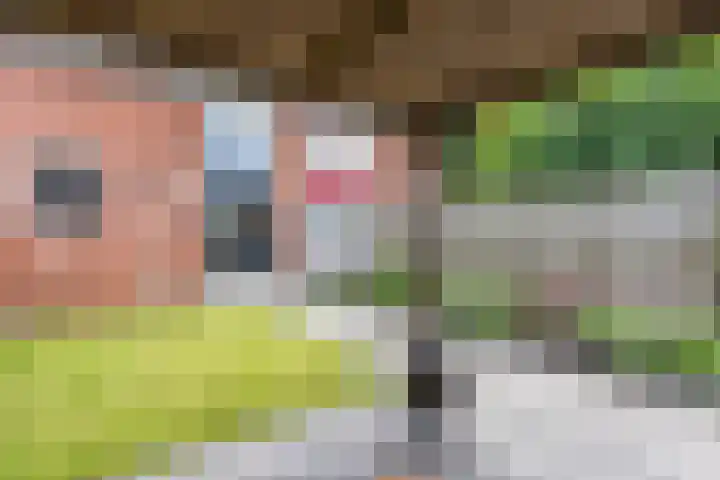 Violenstraat 3 Beilen thumbnail 36