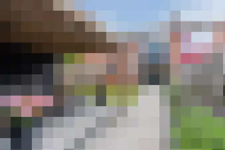 Violenstraat 3 Beilen thumbnail 37