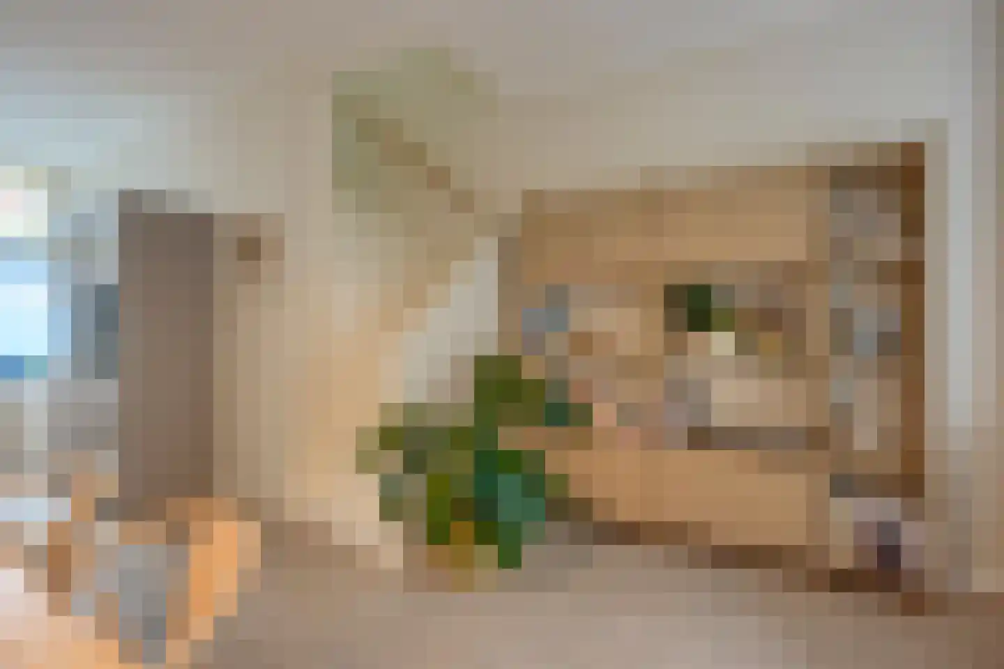 Violenstraat 3 Utrecht thumbnail 14