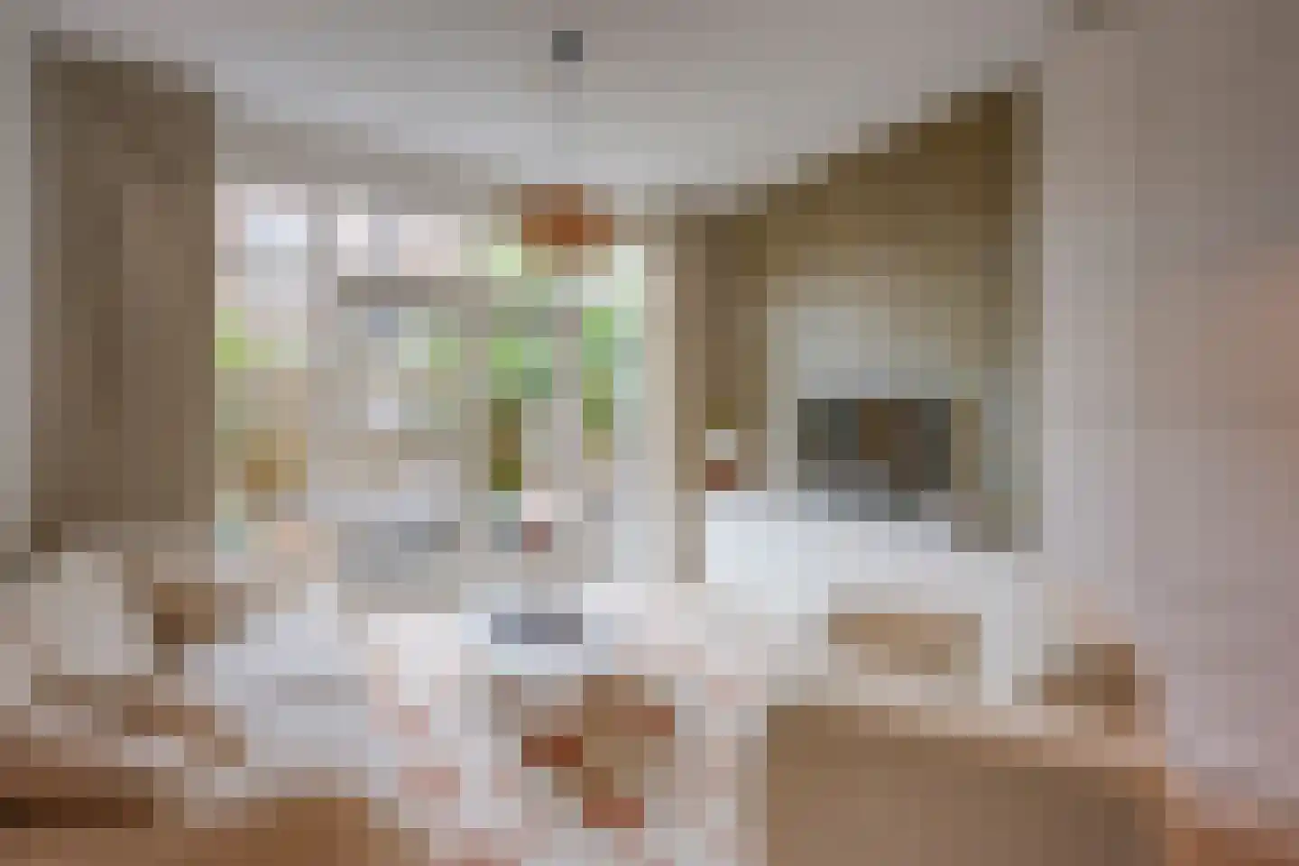 Violenstraat 3 Utrecht thumbnail 17
