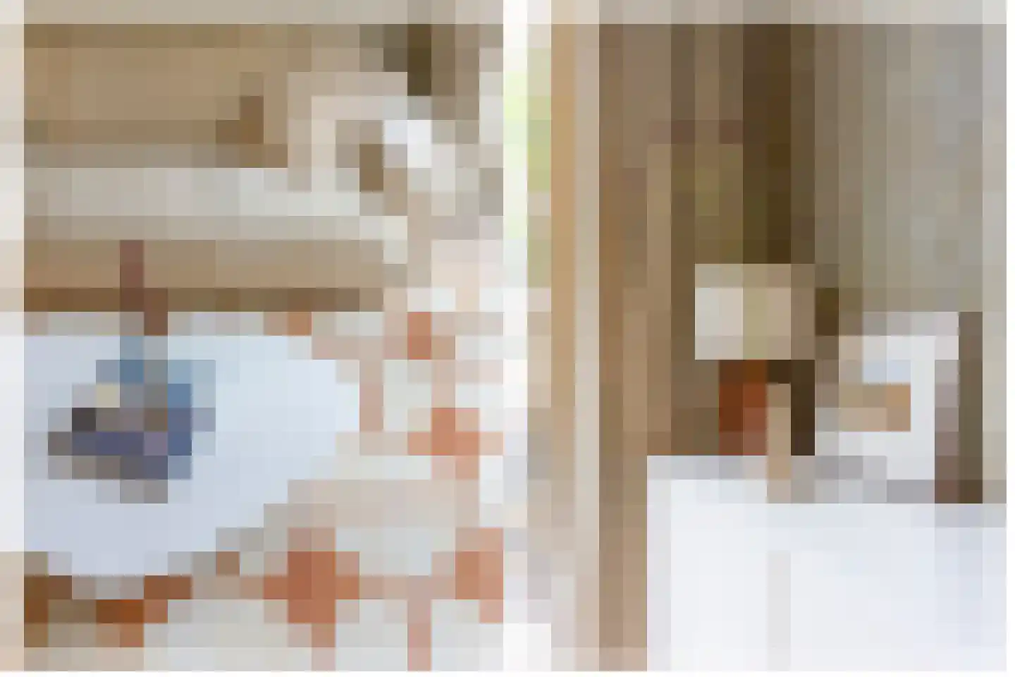 Violenstraat 3 Utrecht thumbnail 19