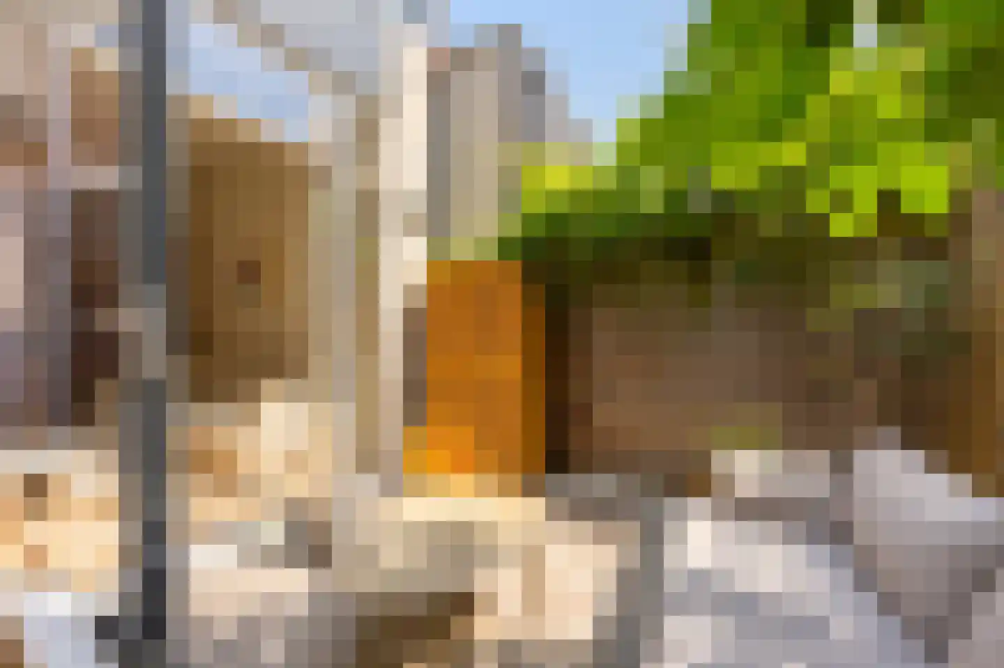 Violenstraat 3 Utrecht thumbnail 20