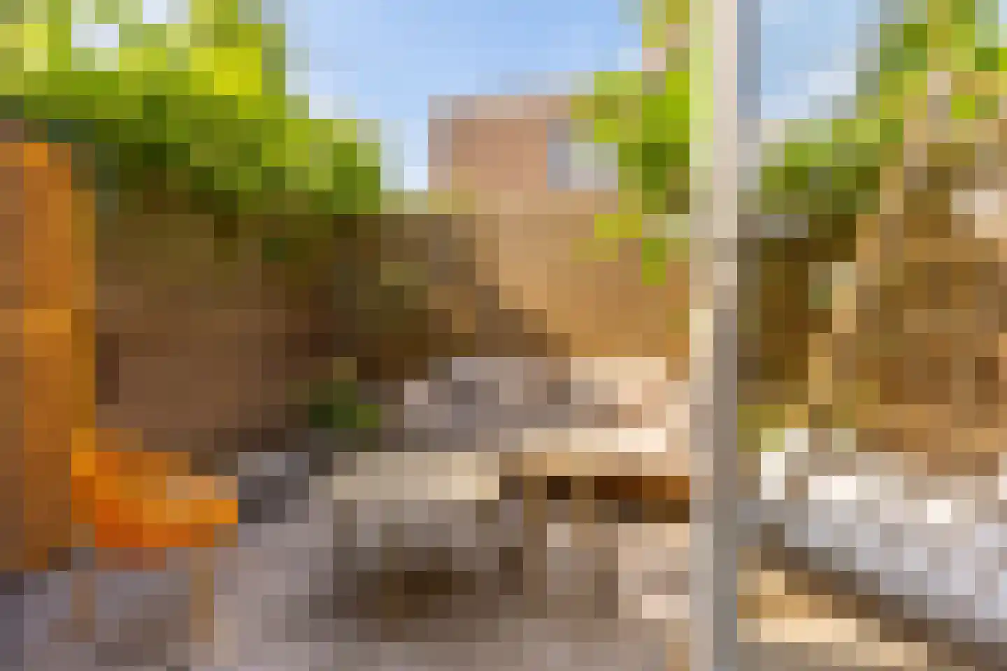 Violenstraat 3 Utrecht thumbnail 21