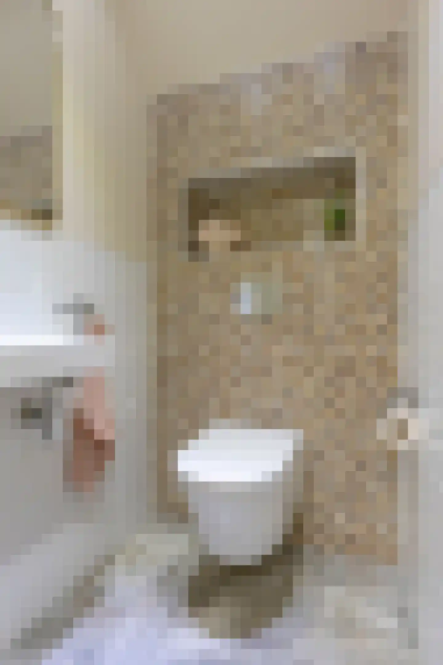 Violenstraat 3 Utrecht thumbnail 22