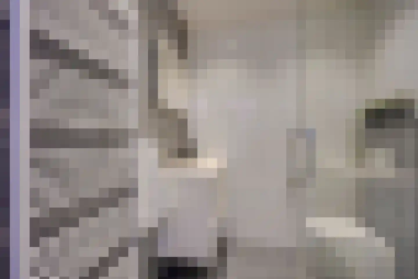 Violenstraat 3 Utrecht thumbnail 32
