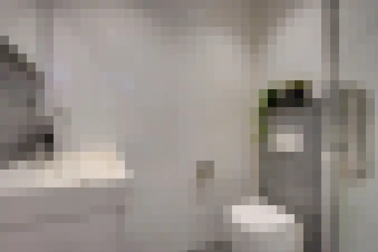 Violenstraat 3 Utrecht thumbnail 33