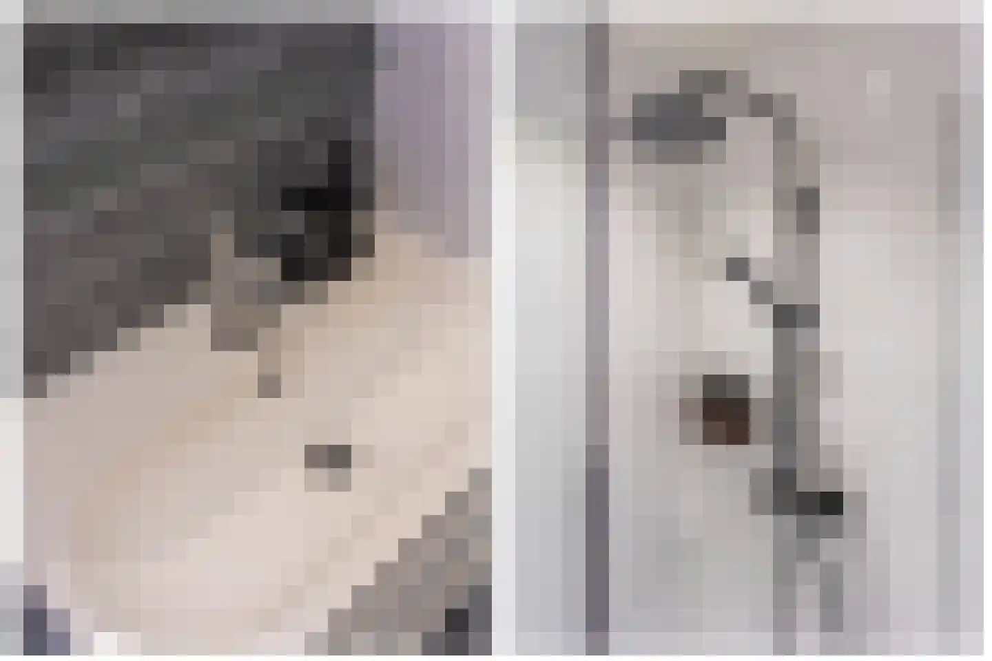 Violenstraat 3 Utrecht thumbnail 34