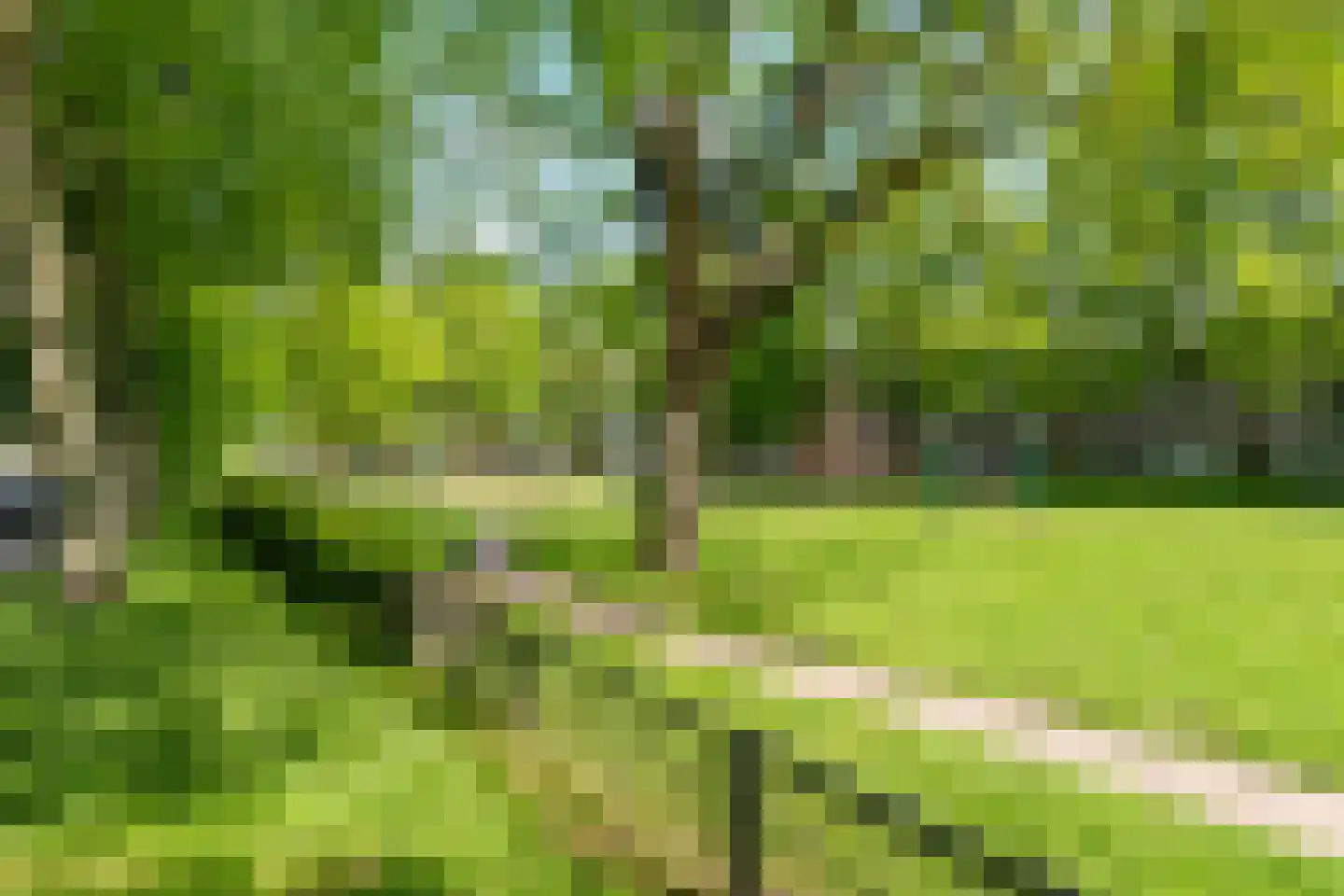 Violenstraat 3 Utrecht thumbnail 43
