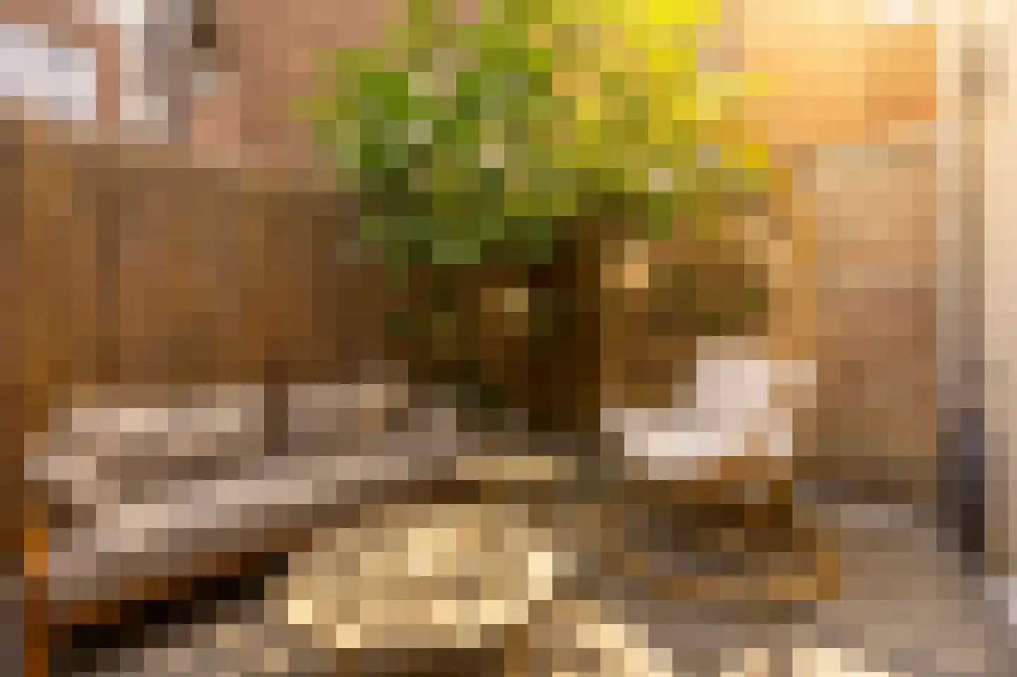 Violenstraat 3 Utrecht thumbnail 5