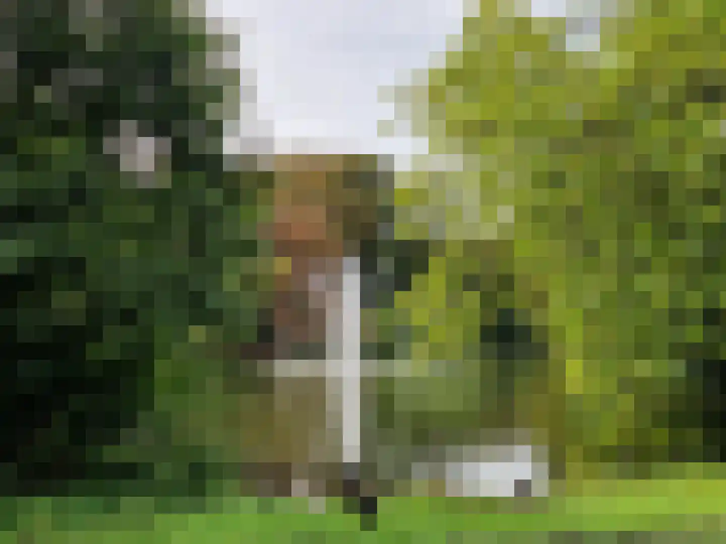 Violenstraat 3 Utrecht thumbnail 53