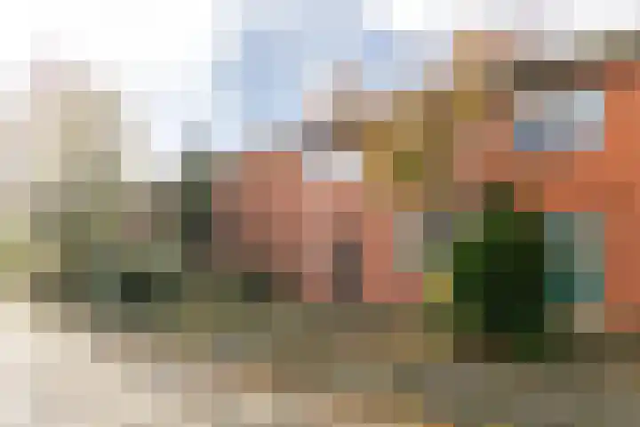 Violenstraat 30 Enkhuizen thumbnail 4