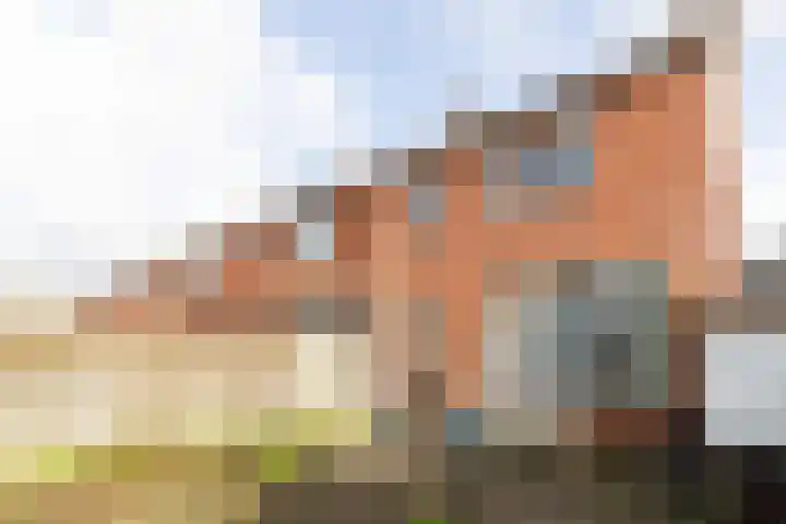 Violenstraat 30 Enkhuizen thumbnail 41
