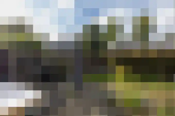 Violenstraat 30 Enkhuizen thumbnail 43