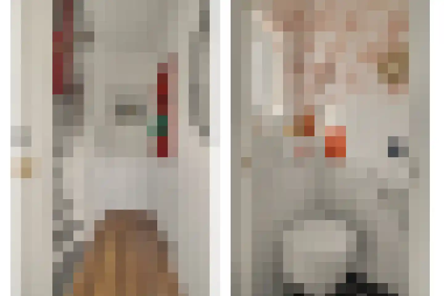 Violenstraat 31 Goes thumbnail 10