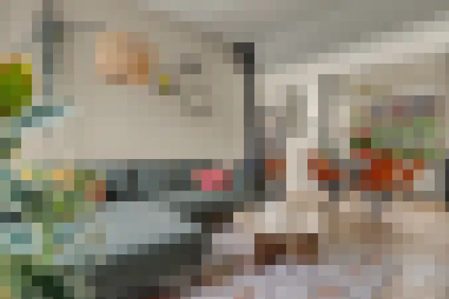 Violenstraat 31 Goes thumbnail 14