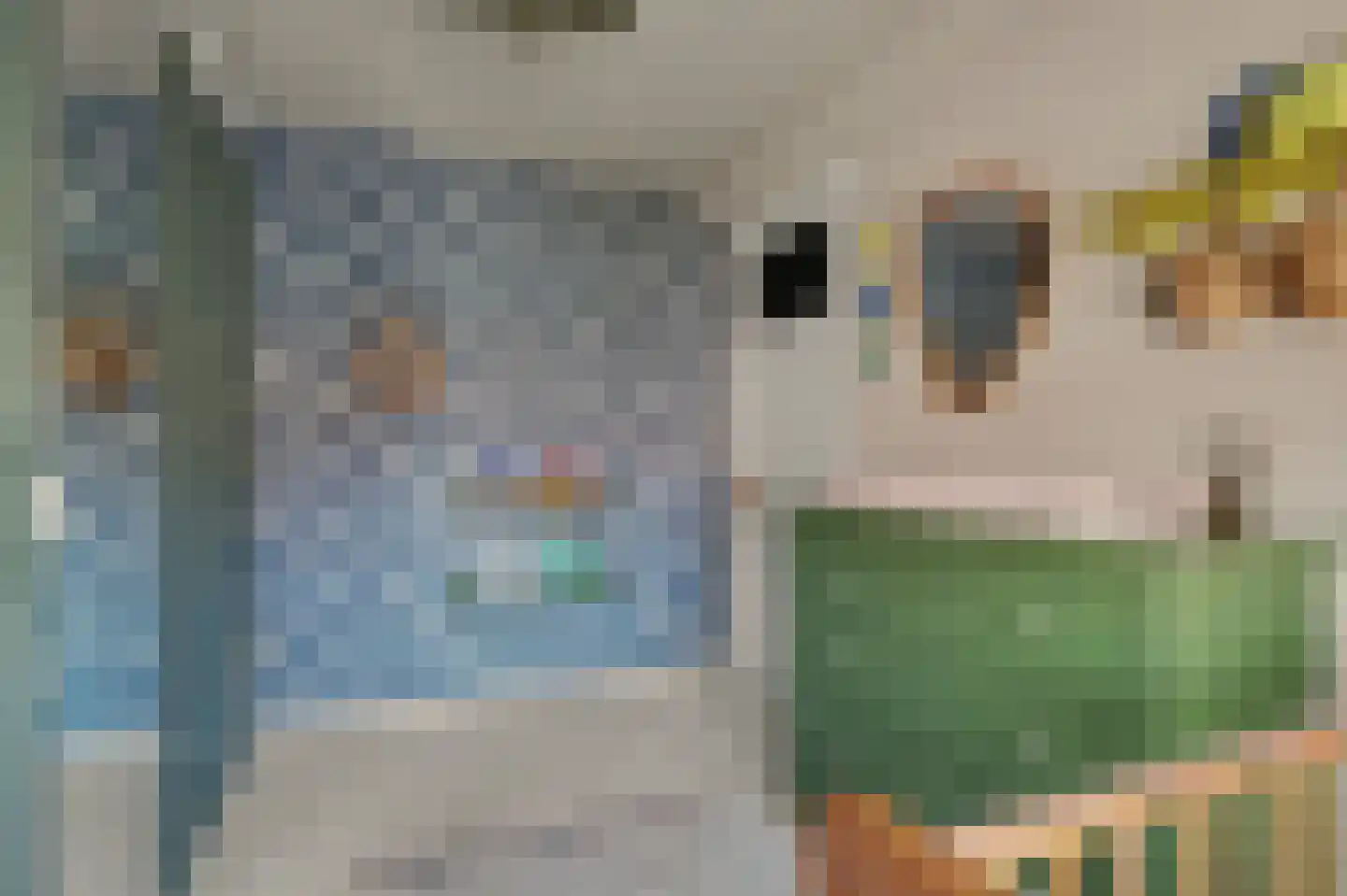 Violenstraat 31 Goes thumbnail 29