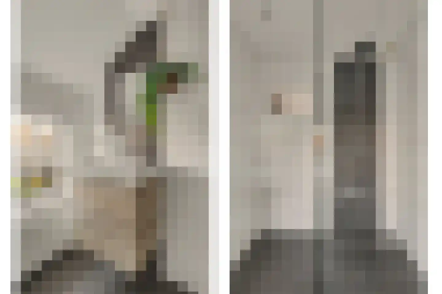 Violenstraat 31 Goes thumbnail 32