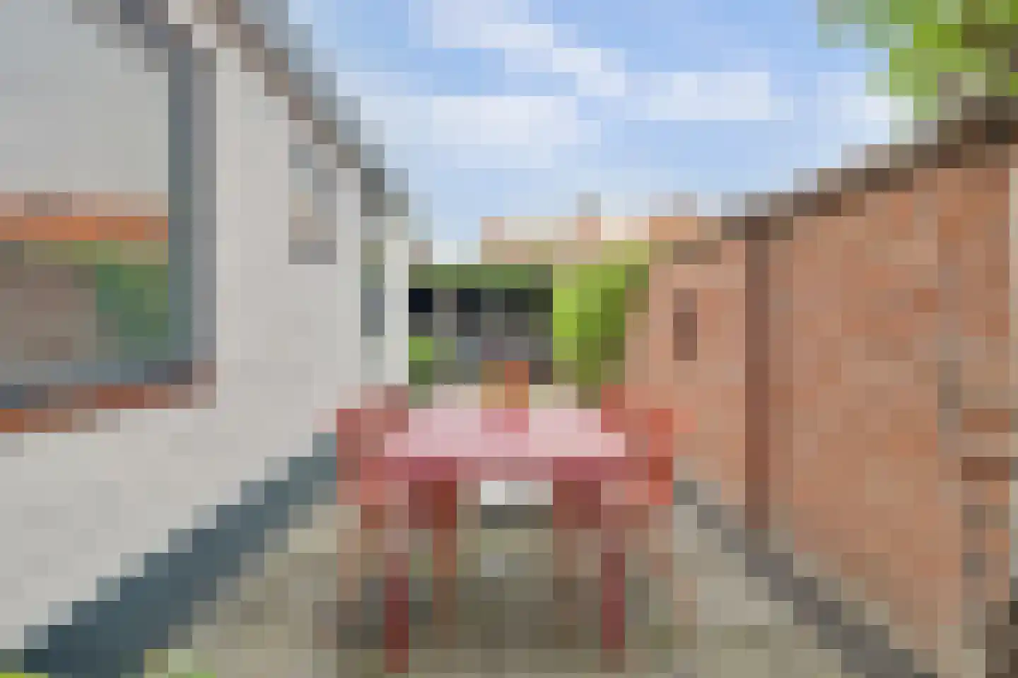 Violenstraat 31 Goes thumbnail 33