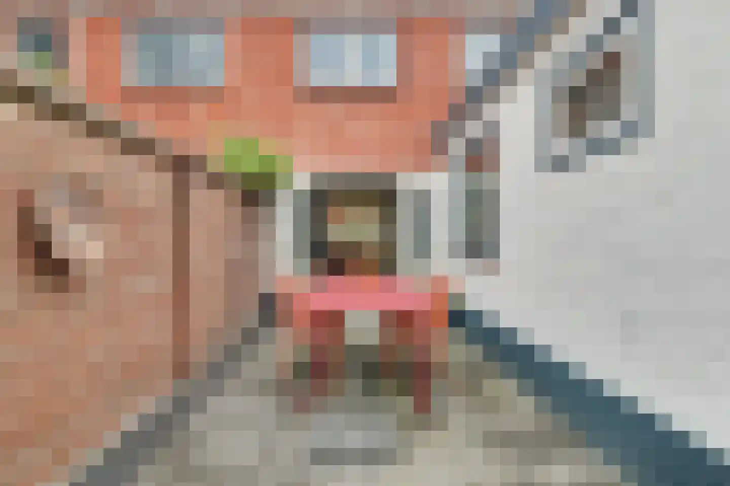 Violenstraat 31 Goes thumbnail 34