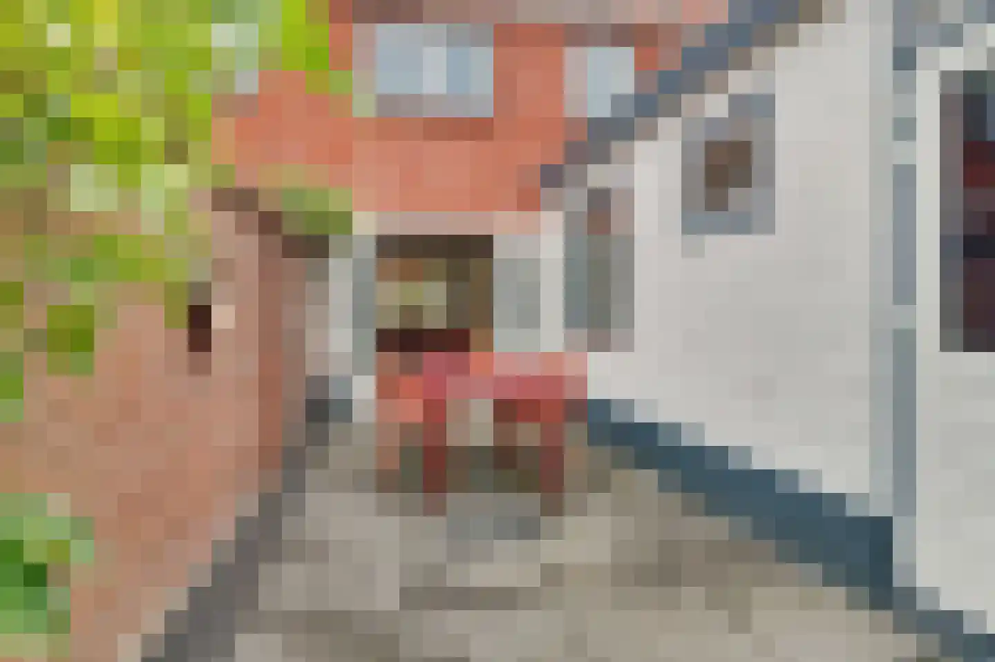Violenstraat 31 Goes thumbnail 35