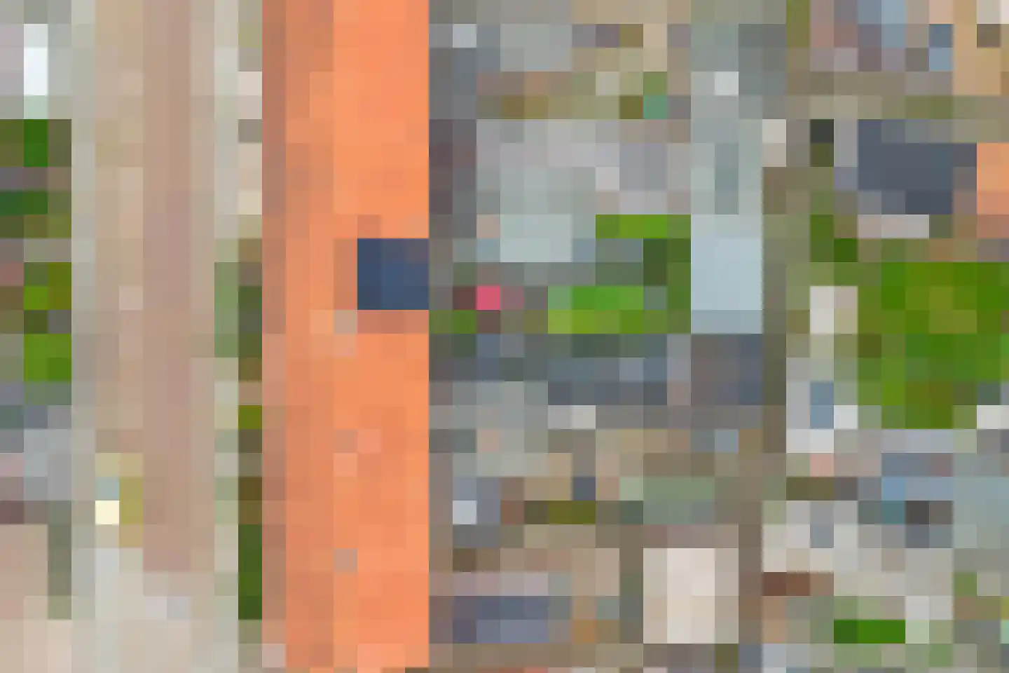 Violenstraat 31 Goes thumbnail 40