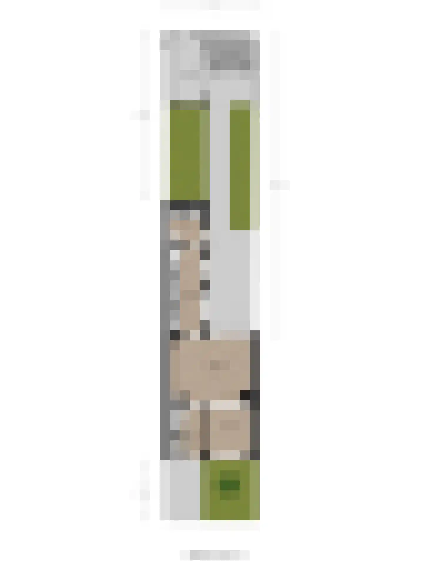 Violenstraat 31 Goes thumbnail 55