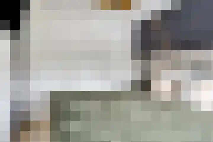 Violenstraat 32 Goes thumbnail 16