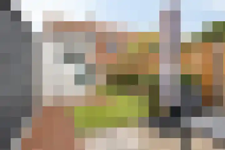Violenstraat 32 Goes thumbnail 24