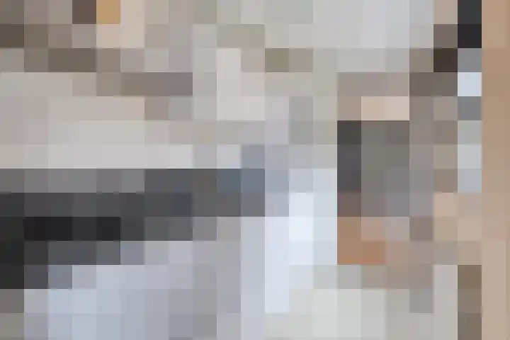 Violenstraat 32 Goes thumbnail 9