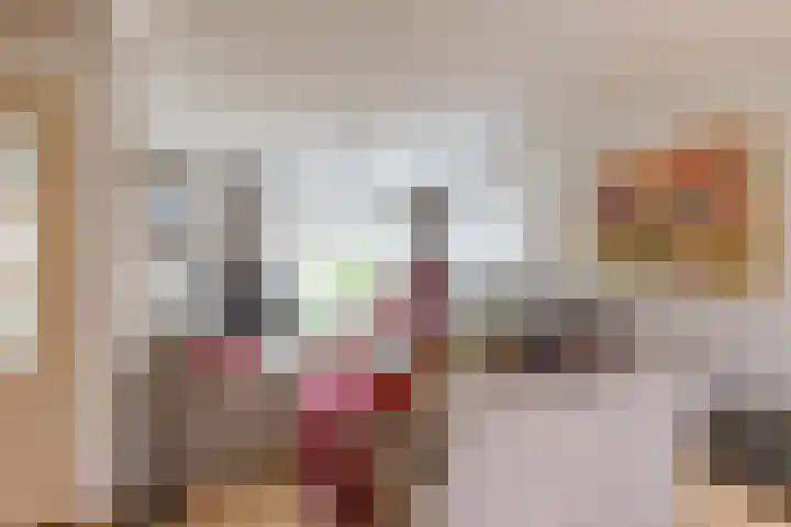 Violenstraat 32 Sappemeer thumbnail 11
