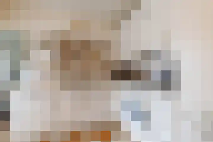 Violenstraat 32 Sappemeer thumbnail 16