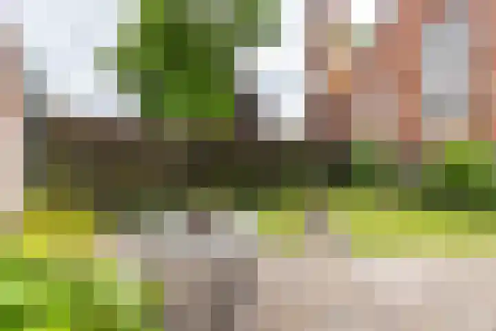 Violenstraat 32 Sappemeer thumbnail 21