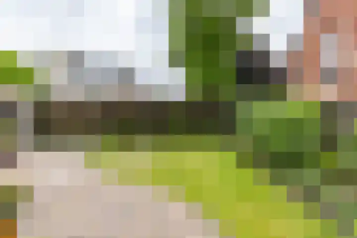 Violenstraat 32 Sappemeer thumbnail 27