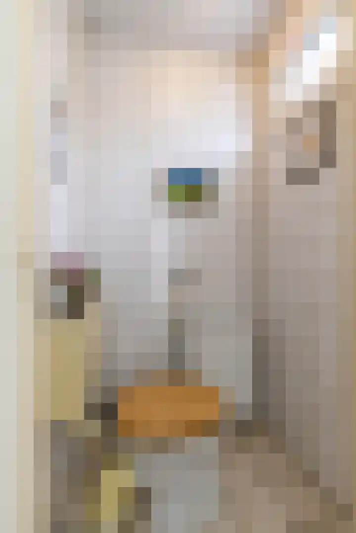 Violenstraat 32 Sappemeer thumbnail 29