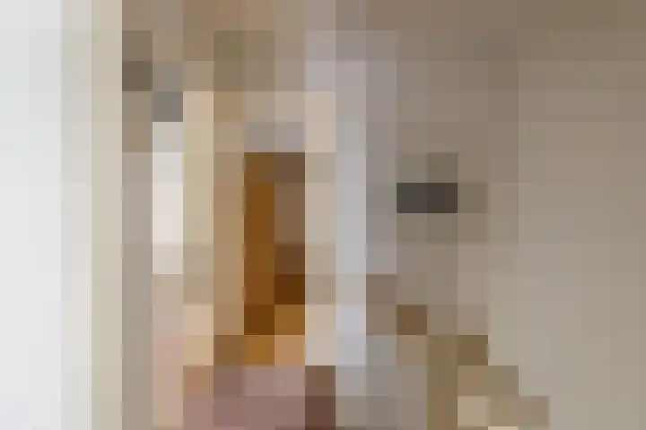 Violenstraat 32 Sappemeer thumbnail 30
