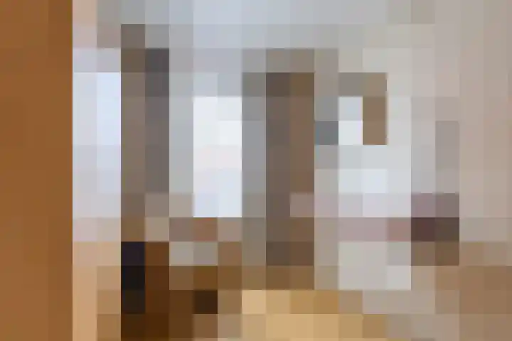 Violenstraat 32 Sappemeer thumbnail 33
