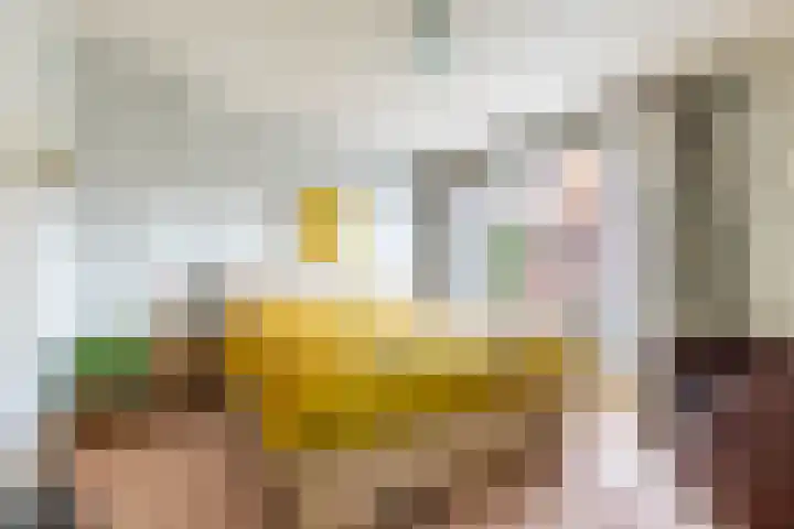 Violenstraat 32 Sappemeer thumbnail 34
