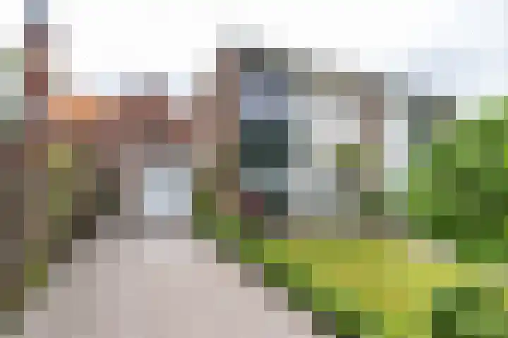 Violenstraat 32 Sappemeer thumbnail 4