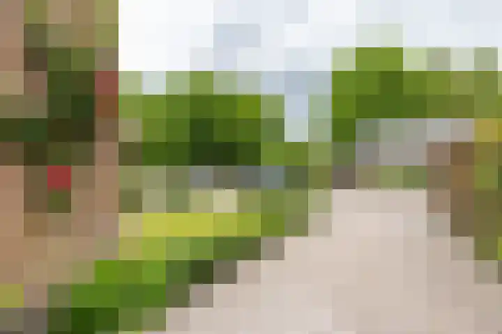 Violenstraat 32 Sappemeer thumbnail 41
