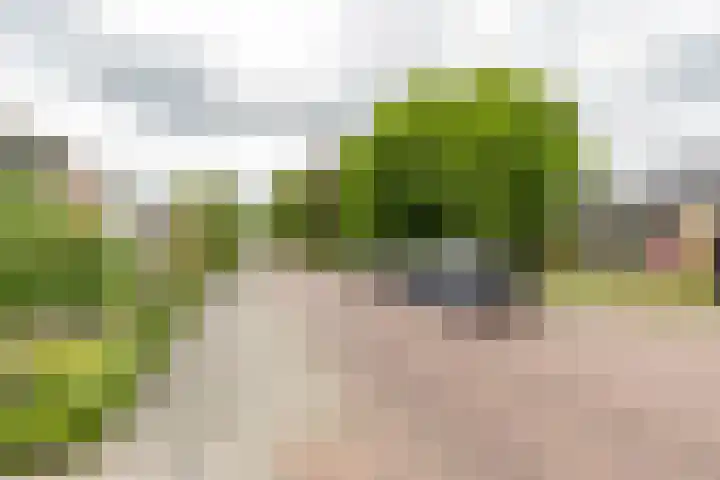 Violenstraat 32 Sappemeer thumbnail 42