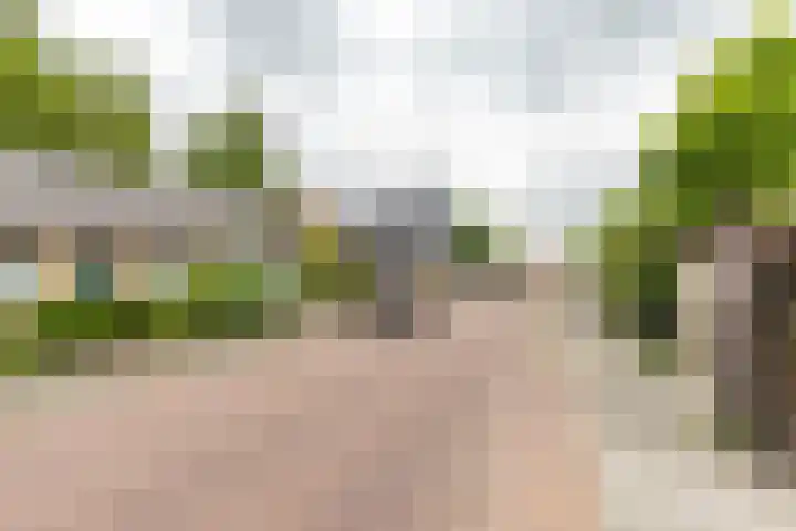 Violenstraat 32 Sappemeer thumbnail 43