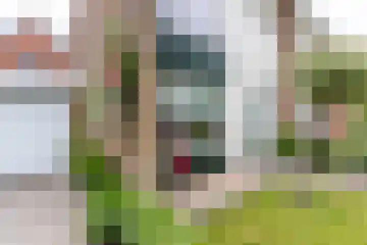 Violenstraat 32 Sappemeer thumbnail 5