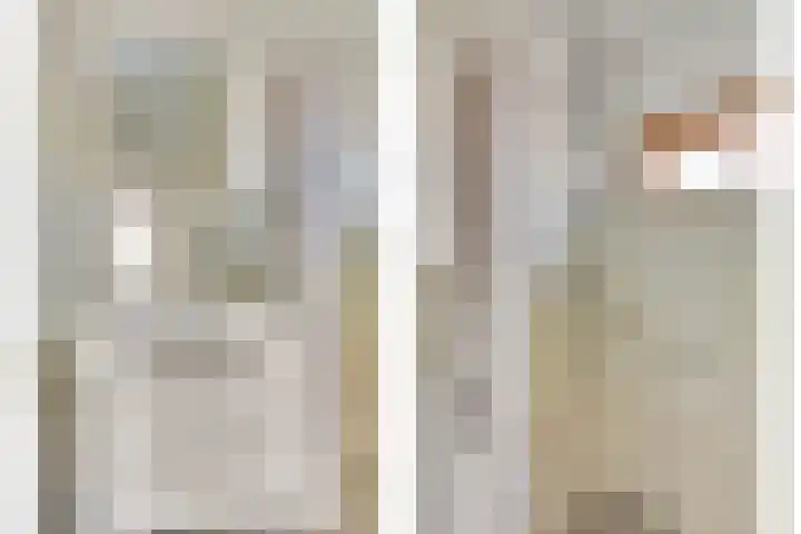 Violenstraat 35 Goes thumbnail 16