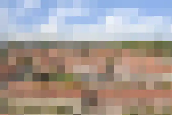 Violenstraat 35 Goes thumbnail 29