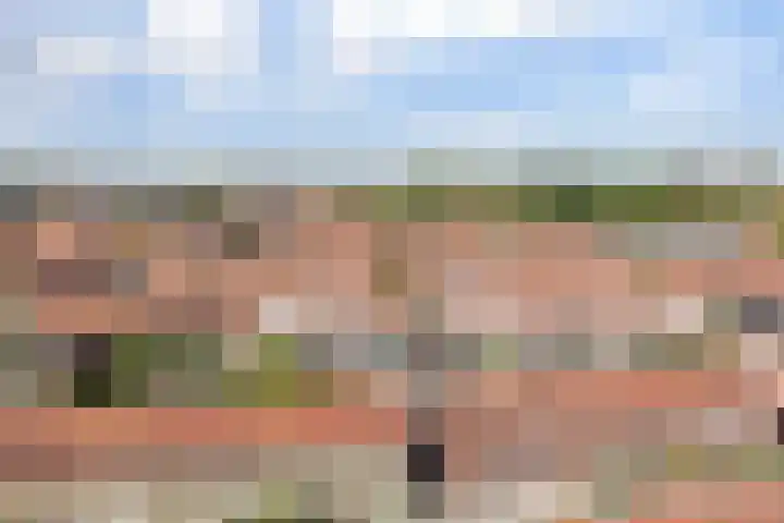 Violenstraat 35 Goes thumbnail 30