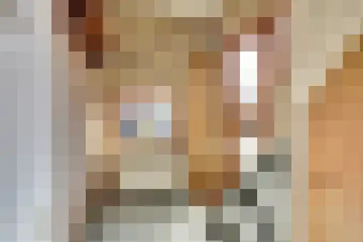 Violenstraat 35 Goes thumbnail 4