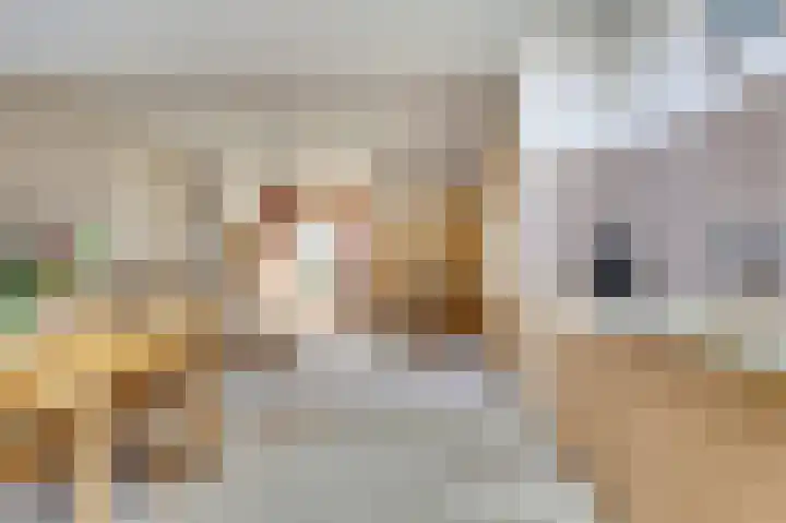 Violenstraat 35 Goes thumbnail 9